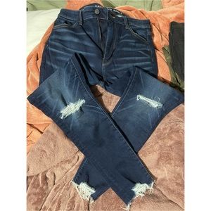 AE Next Level Stretch Distressed Jeans